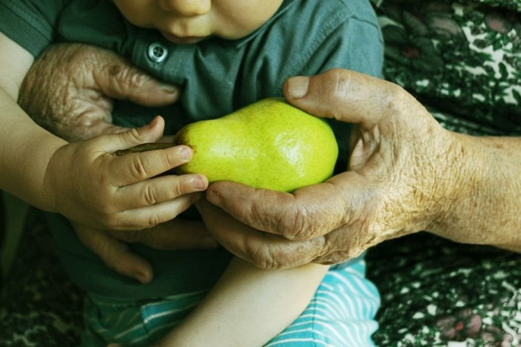 Otwarcie wystawy fotograficznej Jedz Odpowiedzialnie