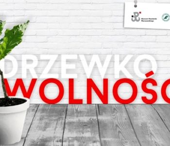 Drzewko wolności