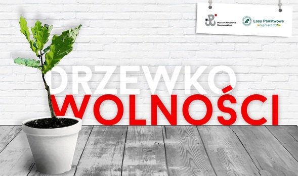 Drzewko wolności