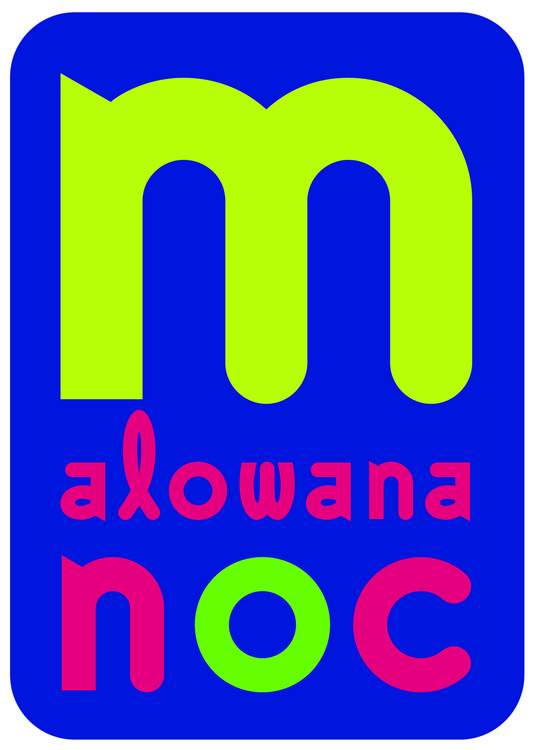 Malowana Noc