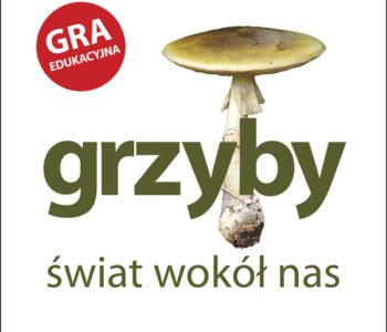 Mamo Grzyby – świat wokół nas