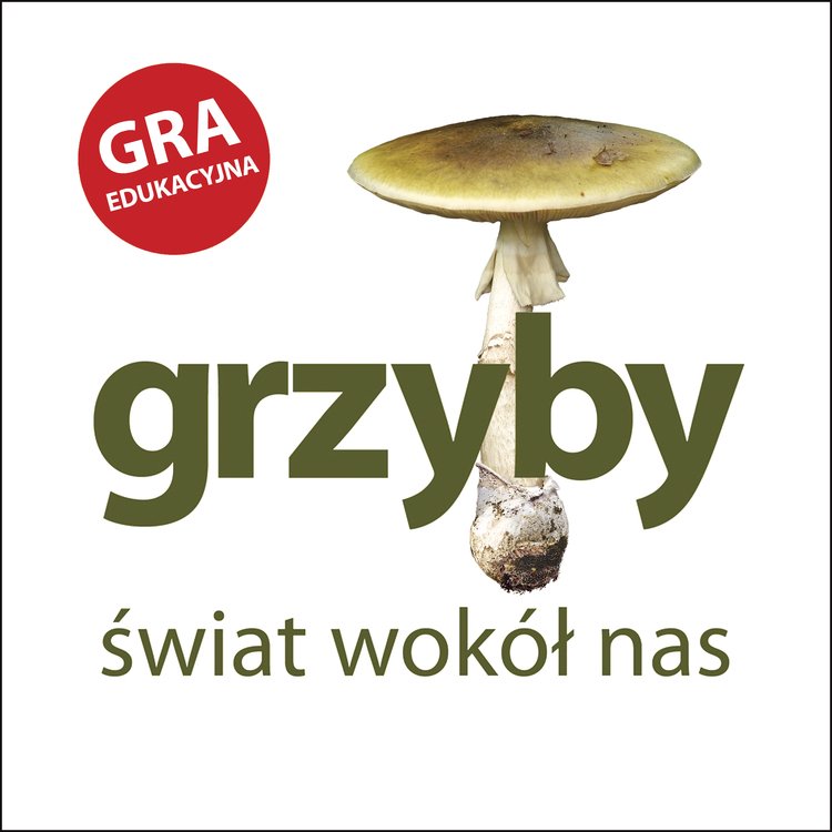 Mamo Grzyby – świat wokół nas