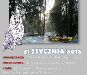 Zimowe Ptakoliczenie 2016