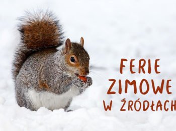 Ekologiczne ferie ze Źródłami