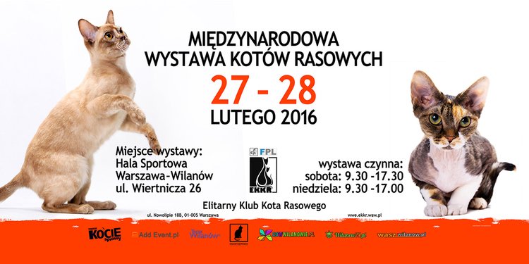 Międzynarodowa Wystawa Kotów Rasowych