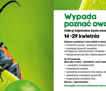 Wypada poznać owada – edukacyjna wystawa w Zielonych Arkadach w Bydgoszczy