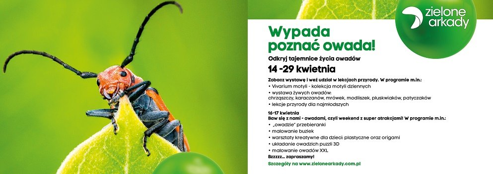 Wypada poznać owada - edukacyjna wystawa w Zielonych Arkadach w Bydgoszczy