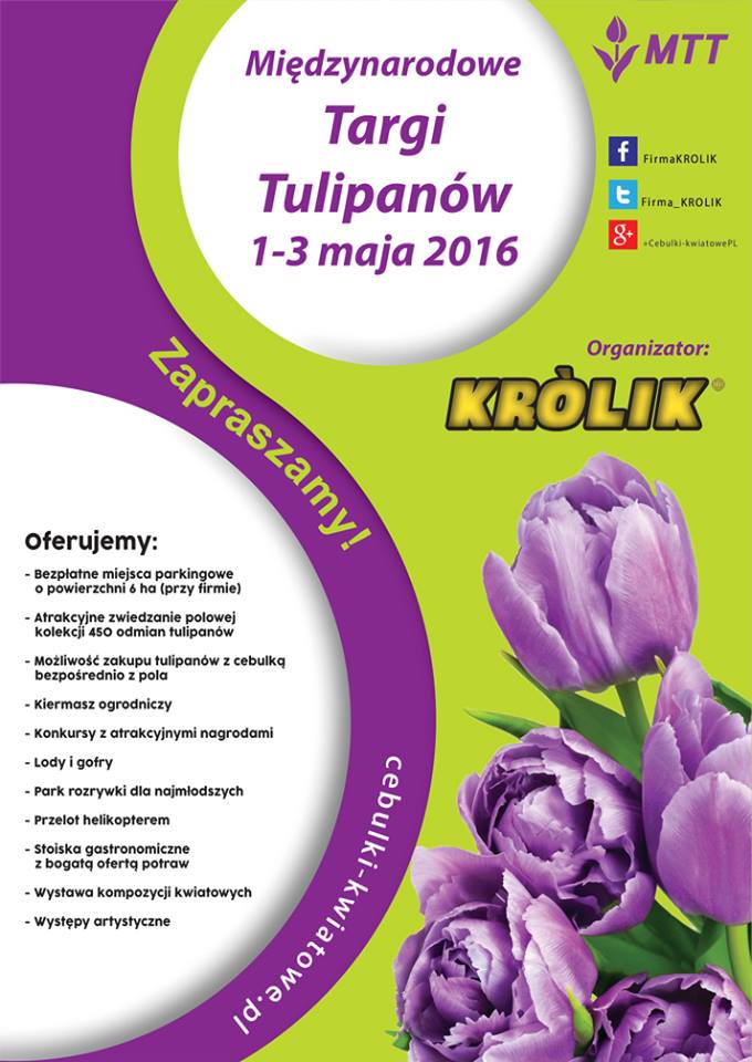 Międzynarodowe Targi Tulipanów w Chrzypsku Wielkim