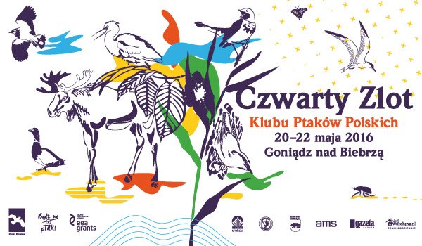 Czwarty Zlot Klubu Ptaków Polskich 2016 w Goniądzu