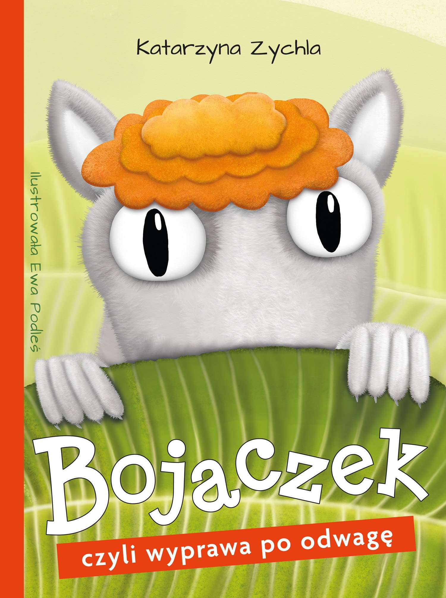 Bojaczek, czyli wyprawa po odwagę książka dla dzieci wydawnictwa skrzat