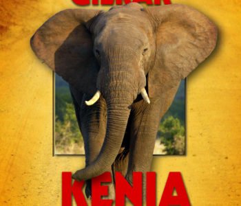 Kenia – hakuna kurudi