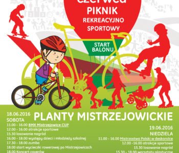 Dni Mistrzejowic – Piknik rekreacyjno-sportowy