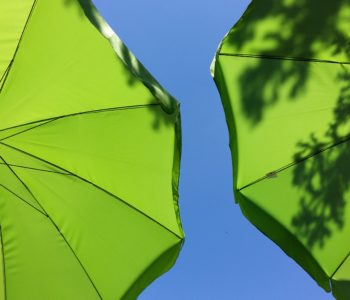 Pod parasolkami – letnie warsztaty przyrodniczo-plastyczne