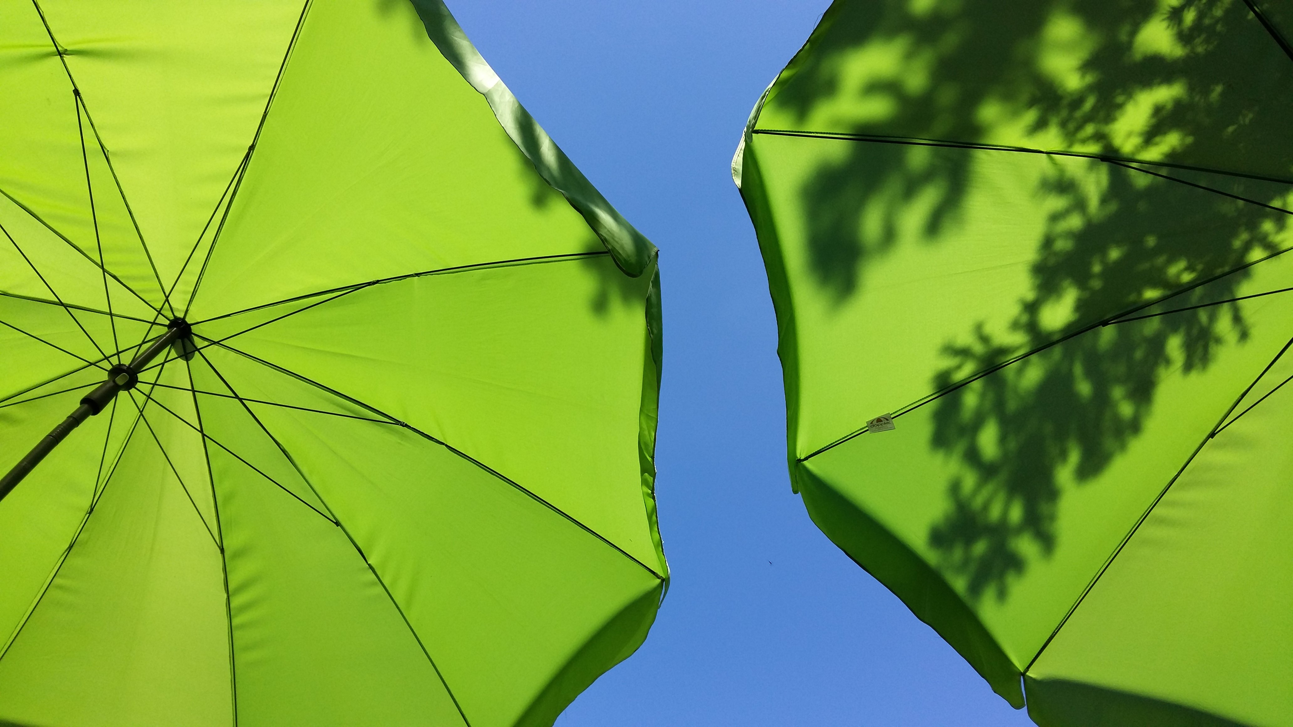 Pod parasolkami. Fot. Julia Dobrzańska