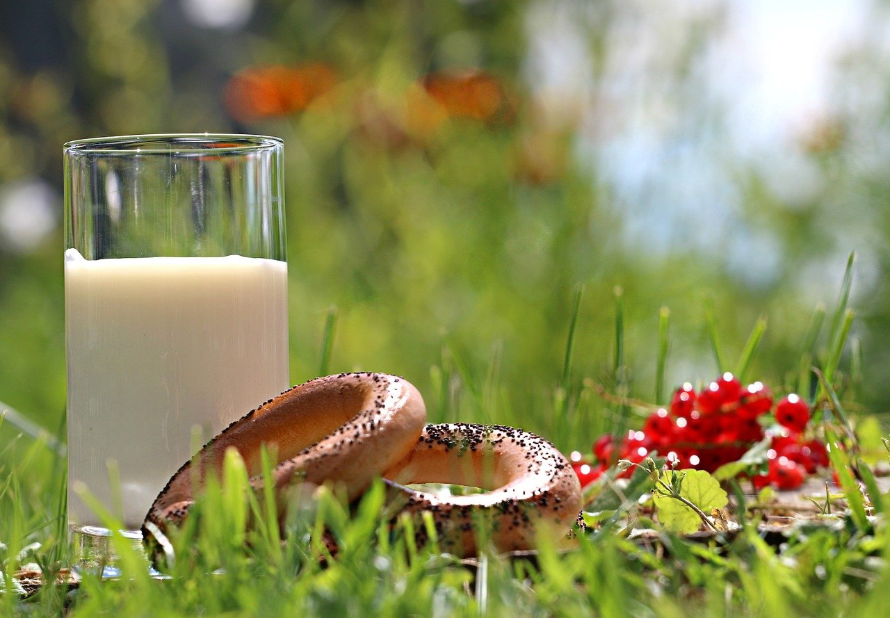 śniadanie na trawie piknik mleko lato