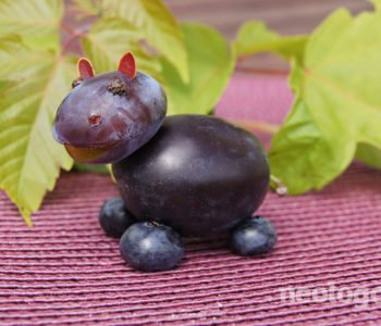 Neologopedia - ogrodowe-zabawki - hipopotam