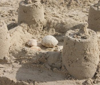 Budowanie zamków na piasku na Plaży Miejskiej w Starym Korycie Warty