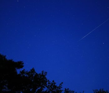 Noc Perseidów w Ogrodzie Botanicznym – obserwacje spadających gwiazd