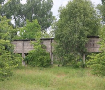 Majerowskie Pole na Brusie – spacer Zielonej Łodzi