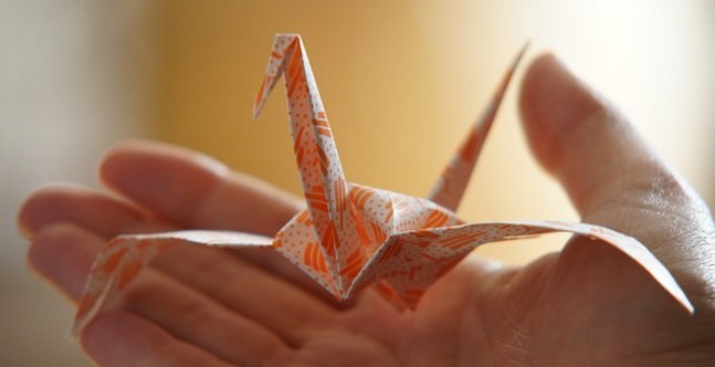 zuraw_origami_fot_malgorzata_zieminska