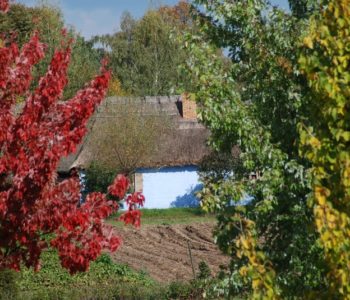 Jesienny pejzaż wsi. Ochrona ekspozycji przyrodniczej w Muzeum Wsi Mazowieckiej w Sierpcu
