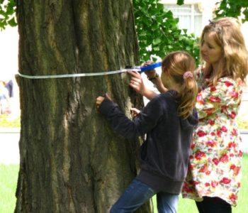 O czym szumią drzewa w Wilanowie? – warsztaty dla rodzin z dziećmi