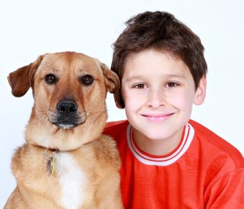 Z psem za pan brat – warsztaty dla dzieci