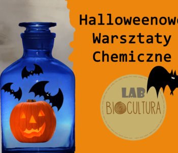 Halloweenowe warsztaty chemiczne