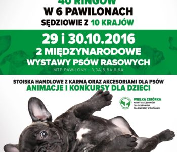 Międzynarodowe Wystawy Psów Rasowych w Poznaniu – bawią, uczą, pomagają. Rozdajemy zaproszenia!