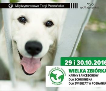 Wielka Zbiórka dla podopiecznych poznańskiego schroniska dla zwierząt