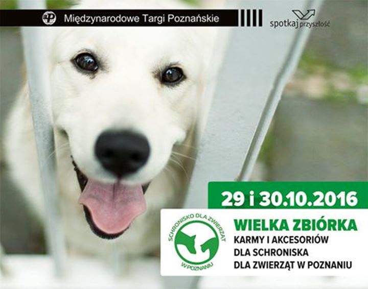 zbiórka dla zwierząt Targi Poznań