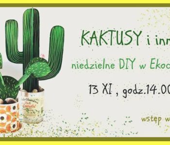 Kaktusy i inne – niedzielne DIY w Ekocentrum