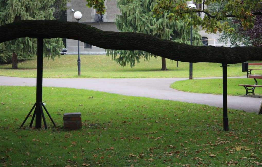 park klepacza łódź zielona łódź