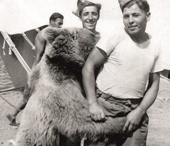 Ewent z niedźwiedziami czyli dzień Kaprala Wojtka w Nowym ZOO