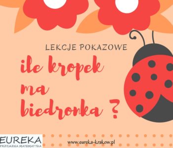 Lekcje pokazowe w Eureka – przyjazna matematyka dla dzieci