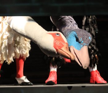 Brzydkie kaczątko, spektakl dla dzieci w Opolu