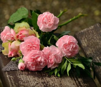 Szlakiem orientalnych opowieści  Dlaczego róże w Bułgarii  pachną najpiękniej?