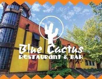 blue cactus animacje