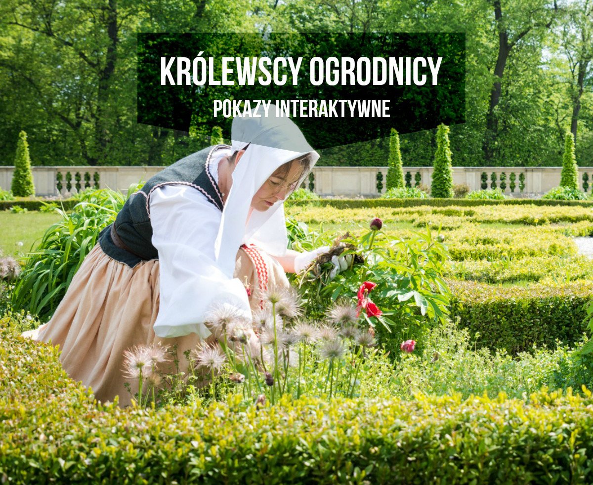 Królewscy ogrodnicy | pokazy interaktywne w parku wilanowskim