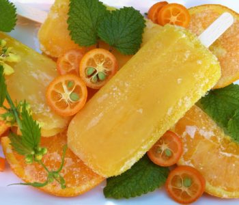 przepis na sorbet z soku pomarańczowego