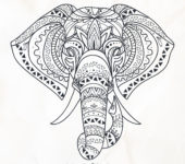 Kolorowanka antystresowa słoń