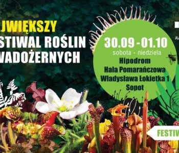 Festiwal roślin owadożernych w Sopocie