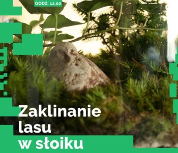 Zaklinanie lasu w słoiku – warsztaty w DK Kadr