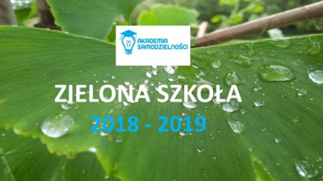 Zielona szkoła — atrakcje dla dzieci w Warszawie 2018 i 2019