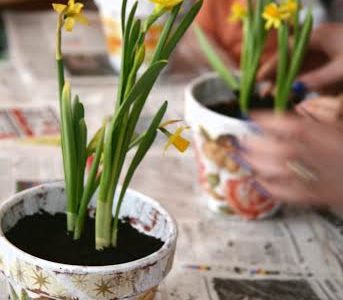 Warsztaty artystyczne – sadzenie pierwszych wiosennych kwiatów 