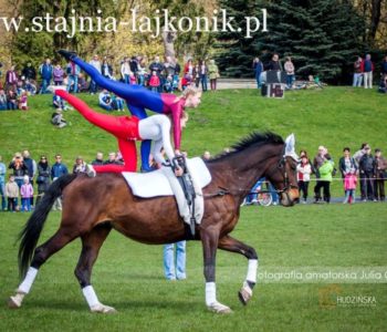 Zajęcia woltyżerki na koniu w Stajni Lajkonik