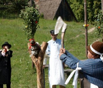 Zielone Świątki - ścinanie kani w Muzeum we Wdzydzach