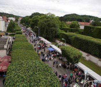 7. Święto Dzielnicy Viva Oliva