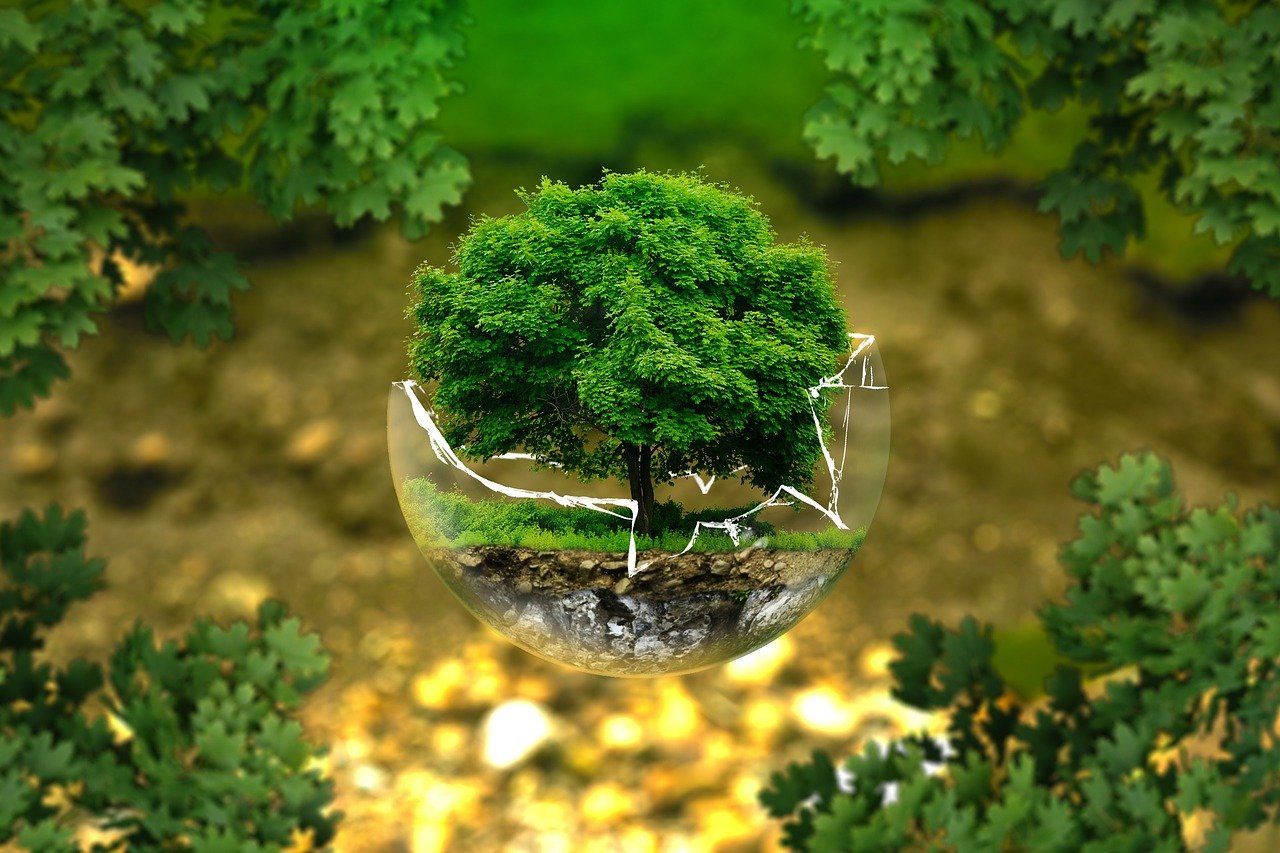 pixabay ekologia