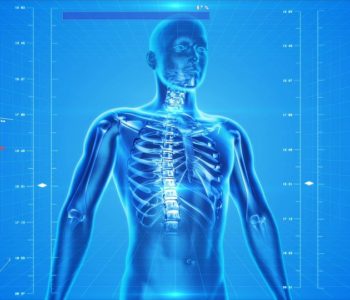 Ciało w ruch – ile kości ma człowiek? – warsztaty